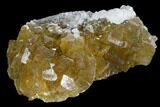 Yellow, Cubic Fluorite Crystal Cluster with Calcite - Spain #98696-1